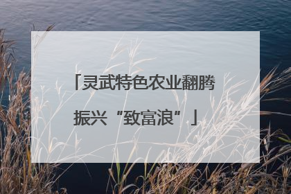 灵武特色农业翻腾振兴“致富浪”