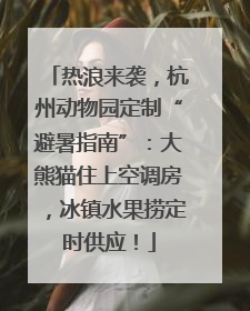 热浪来袭，杭州动物园定制“避暑指南”：大熊猫住上空调房，冰镇水果捞定时供应！