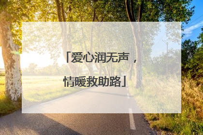 爱心润无声，情暖救助路