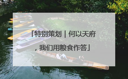 特别策划｜何以天府，我们用粮食作答