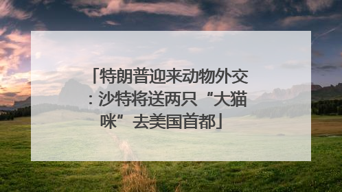 特朗普迎来动物外交：沙特将送两只“大猫咪”去美国首都