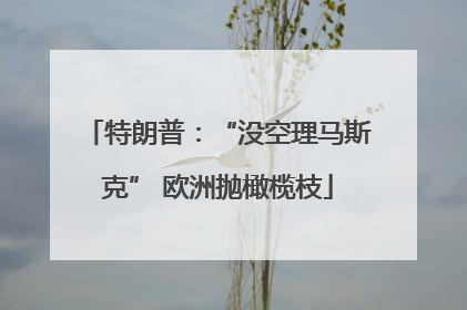 特朗普：“没空理马斯克” 欧洲抛橄榄枝