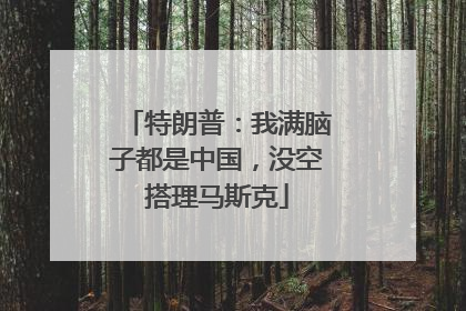 特朗普：我满脑子都是中国，没空搭理马斯克