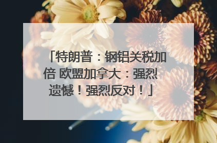 特朗普：钢铝关税加倍 欧盟加拿大：强烈遗憾！强烈反对！