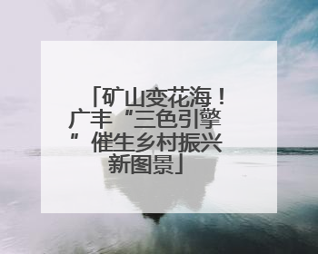 矿山变花海！广丰“三色引擎”催生乡村振兴新图景