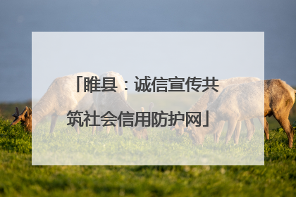 睢县：诚信宣传共筑社会信用防护网