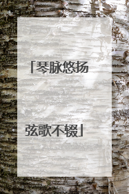 琴脉悠扬 弦歌不辍