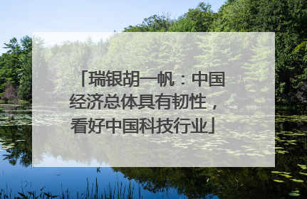 瑞银胡一帆：中国经济总体具有韧性，看好中国科技行业