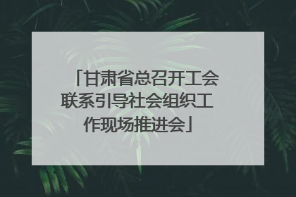 甘肃省总召开工会联系引导社会组织工作现场推进会