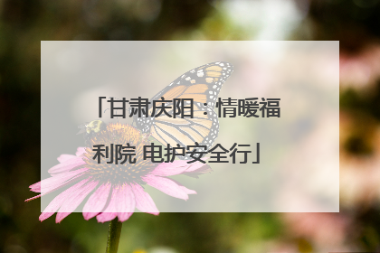 甘肃庆阳：情暖福利院 电护安全行
