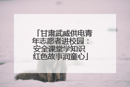甘肃武威供电青年志愿者进校园：安全课堂学知识 红色故事润童心