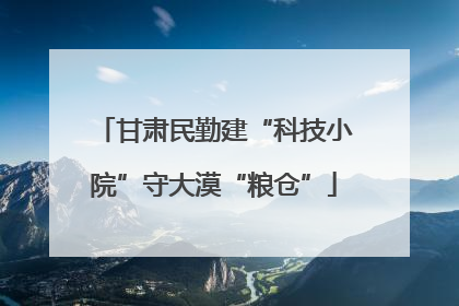 甘肃民勤建“科技小院”守大漠“粮仓”