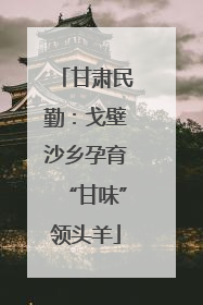 甘肃民勤：戈壁沙乡孕育“甘味”领头羊