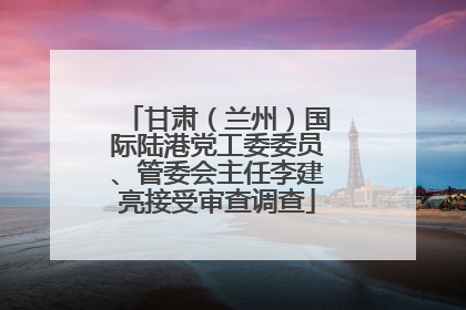 甘肃（兰州）国际陆港党工委委员、管委会主任李建亮接受审查调查