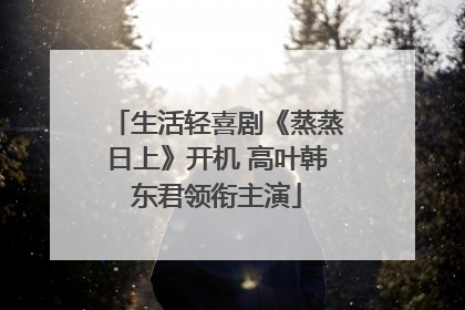 生活轻喜剧《蒸蒸日上》开机 高叶韩东君领衔主演