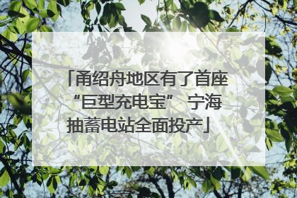 甬绍舟地区有了首座“巨型充电宝” 宁海抽蓄电站全面投产