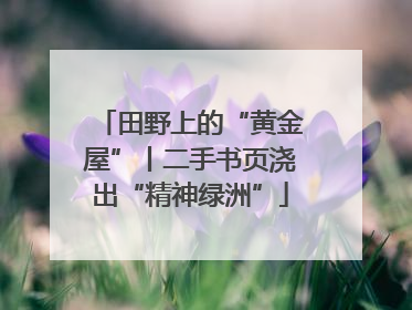 田野上的“黄金屋”丨二手书页浇出“精神绿洲”