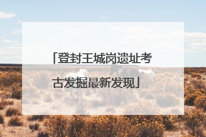 登封王城岗遗址考古发掘最新发现