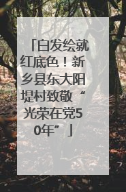 白发绘就红底色！新乡县东大阳堤村致敬“光荣在党50年”
