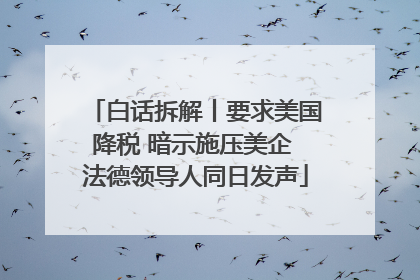 白话拆解丨要求美国降税 暗示施压美企 法德领导人同日发声