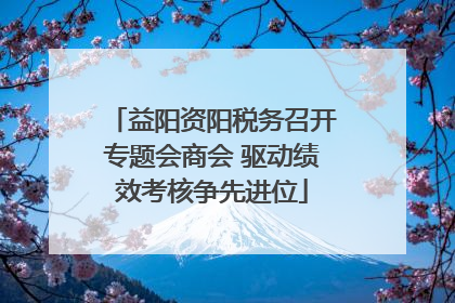 益阳资阳税务召开专题会商会 驱动绩效考核争先进位