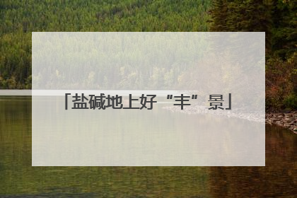 盐碱地上好“丰”景