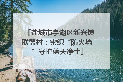盐城市亭湖区新兴镇联盟村：密织“防火墙”守护蓝天净土