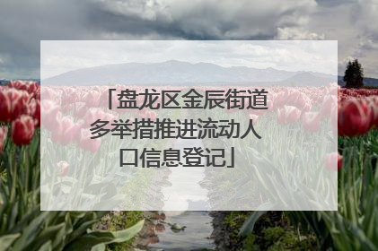 盘龙区金辰街道多举措推进流动人口信息登记