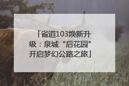 省道103焕新升级：泉城“后花园”开启梦幻公路之旅