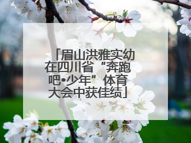 眉山洪雅实幼在四川省“奔跑吧•少年”体育大会中获佳绩