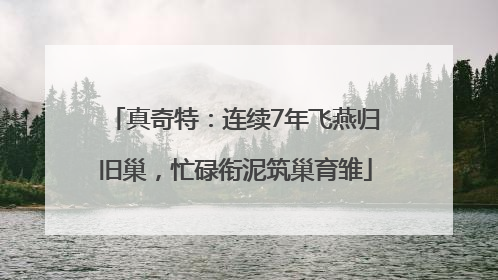 真奇特：连续7年飞燕归旧巢，忙碌衔泥筑巢育雏