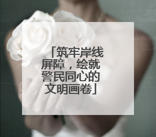 筑牢岸线屏障，绘就警民同心的文明画卷