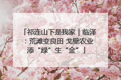 祁连山下是我家｜临泽：荒滩变良田 戈壁农业添“绿”生“金”
