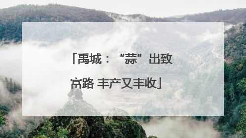 禹城：“蒜”出致富路 丰产又丰收