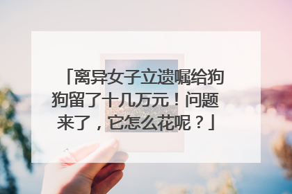 离异女子立遗嘱给狗狗留了十几万元！问题来了，它怎么花呢？