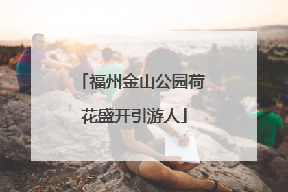 福州金山公园荷花盛开引游人