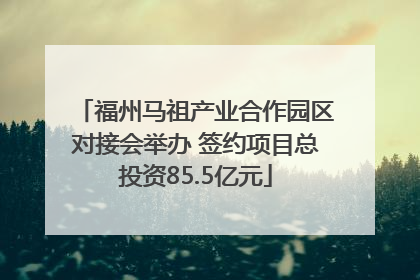 福州马祖产业合作园区对接会举办 签约项目总投资85.5亿元