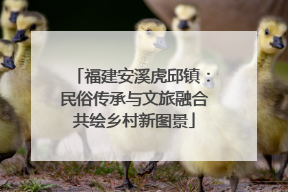 福建安溪虎邱镇：民俗传承与文旅融合共绘乡村新图景