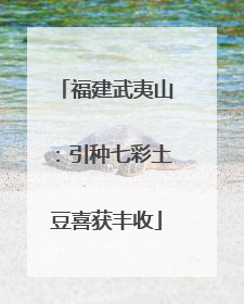 福建武夷山：引种七彩土豆喜获丰收