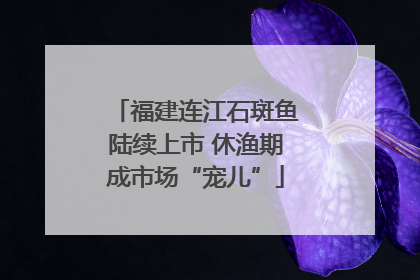 福建连江石斑鱼陆续上市 休渔期成市场“宠儿”