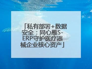 私有部署+数据安全：同心雁S-ERP守护医疗器械企业核心资产