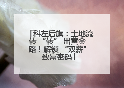 科左后旗：土地流转 “转” 出黄金路！解锁 “双薪” 致富密码