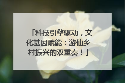 科技引擎驱动，文化基因赋能：游仙乡村振兴的双重奏！