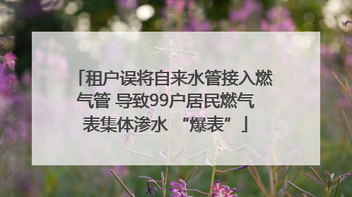 租户误将自来水管接入燃气管 导致99户居民燃气表集体渗水 “爆表”