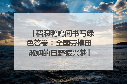 稻浪鸭鸣间书写绿色答卷：全国劳模田淑娴的田野振兴梦