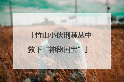 竹山小伙荆棘丛中救下“神秘国宝”