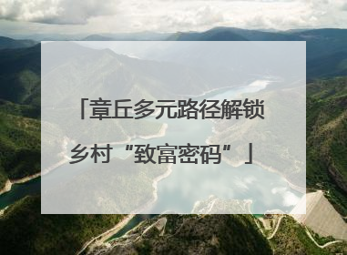 章丘多元路径解锁乡村“致富密码”