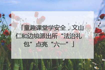 童趣课堂学安全，文山仁和边境派出所“法治礼包”点亮“六一”