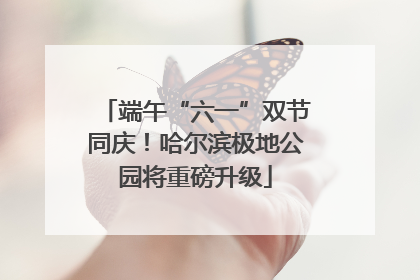 端午“六一”双节同庆！哈尔滨极地公园将重磅升级