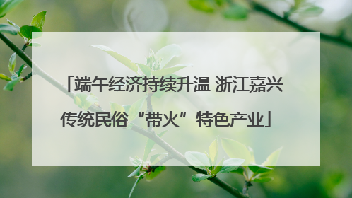 端午经济持续升温 浙江嘉兴传统民俗“带火”特色产业
